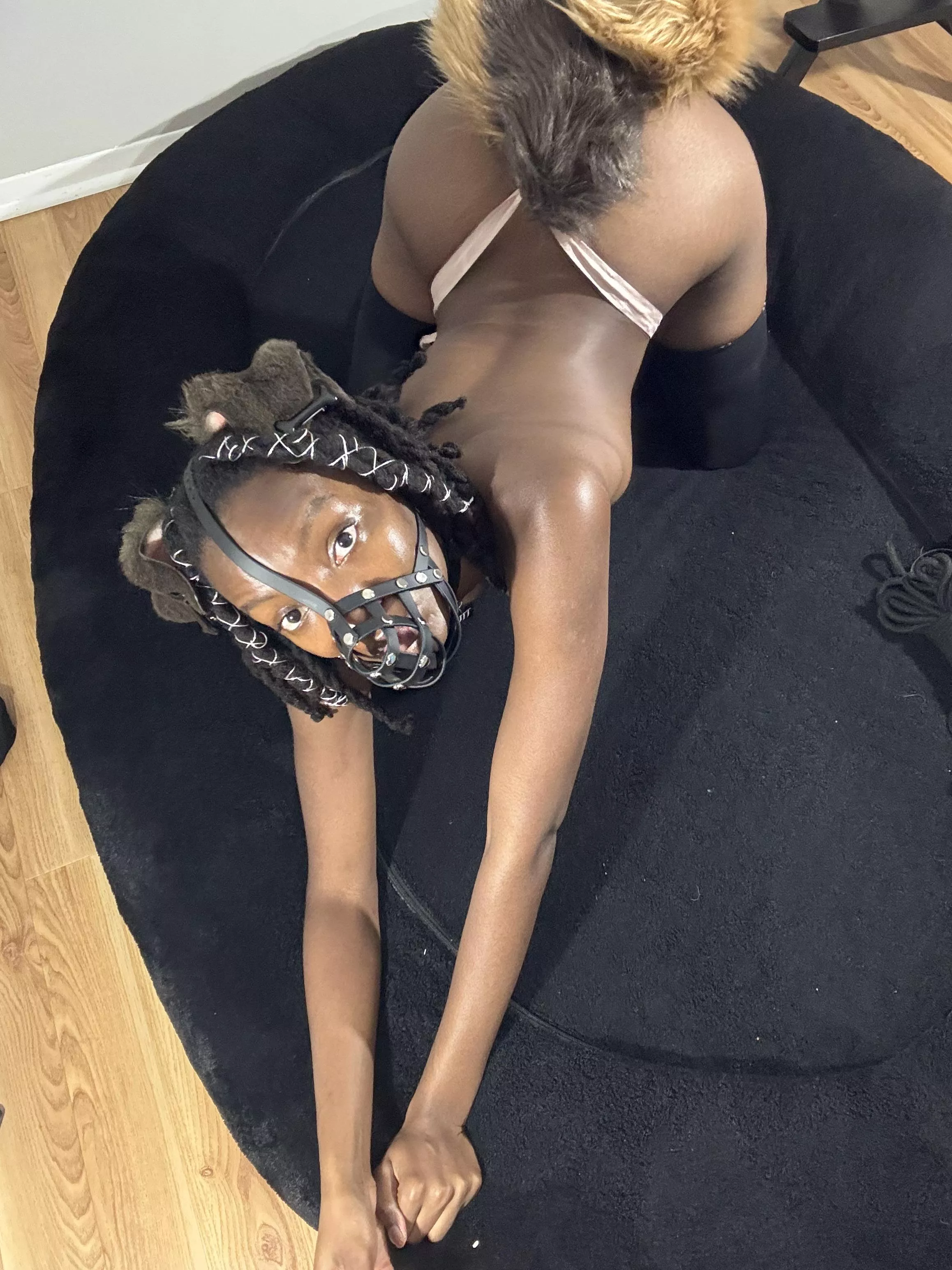 Woahhh that’s a big bone 🐶🦴😮