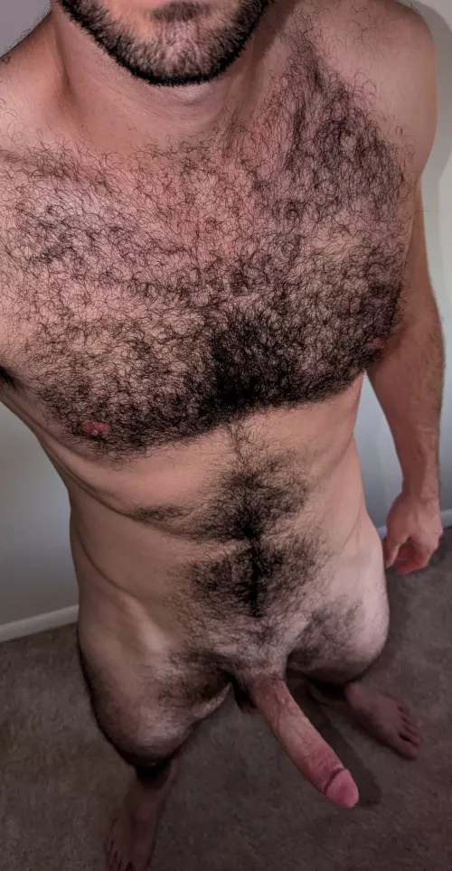 Xpost.. what do you think?