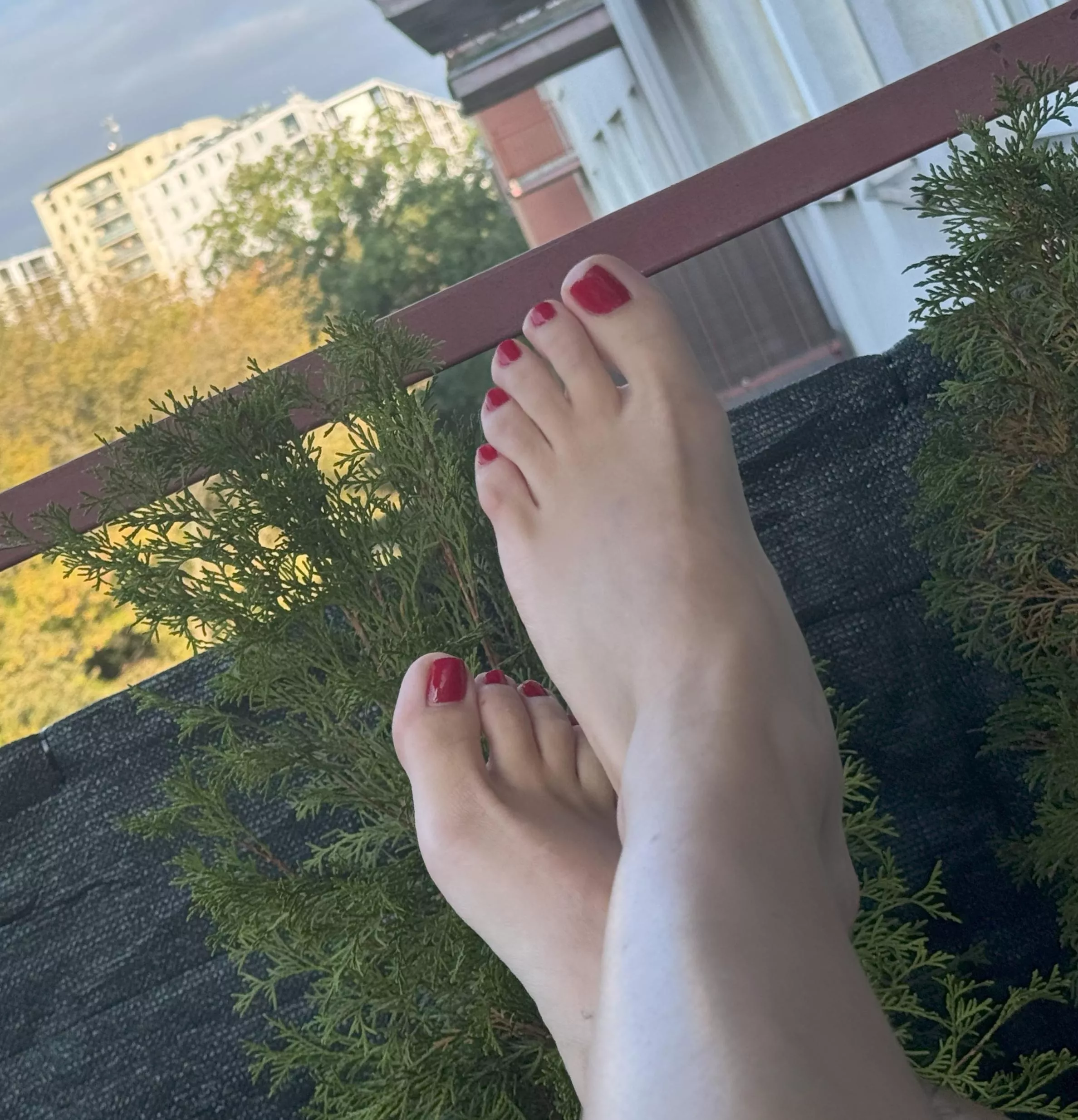 You obviously like my feet