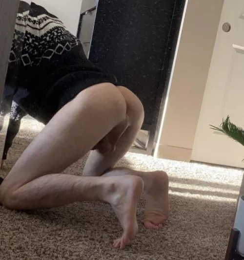 You think you can make your bbc fit? 