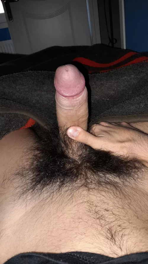 18 years old cock here.Should i shave it