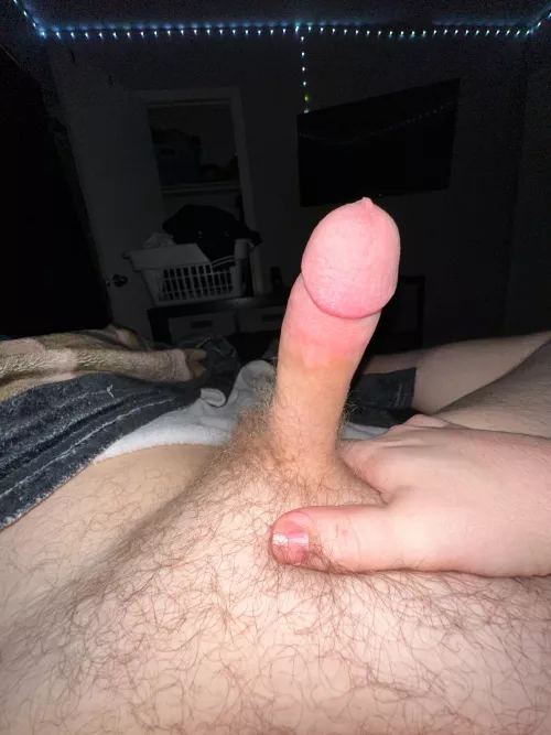 [20] looking for fun spring area