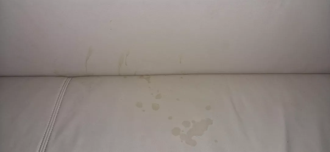 [21] What do you think about my cum? :D