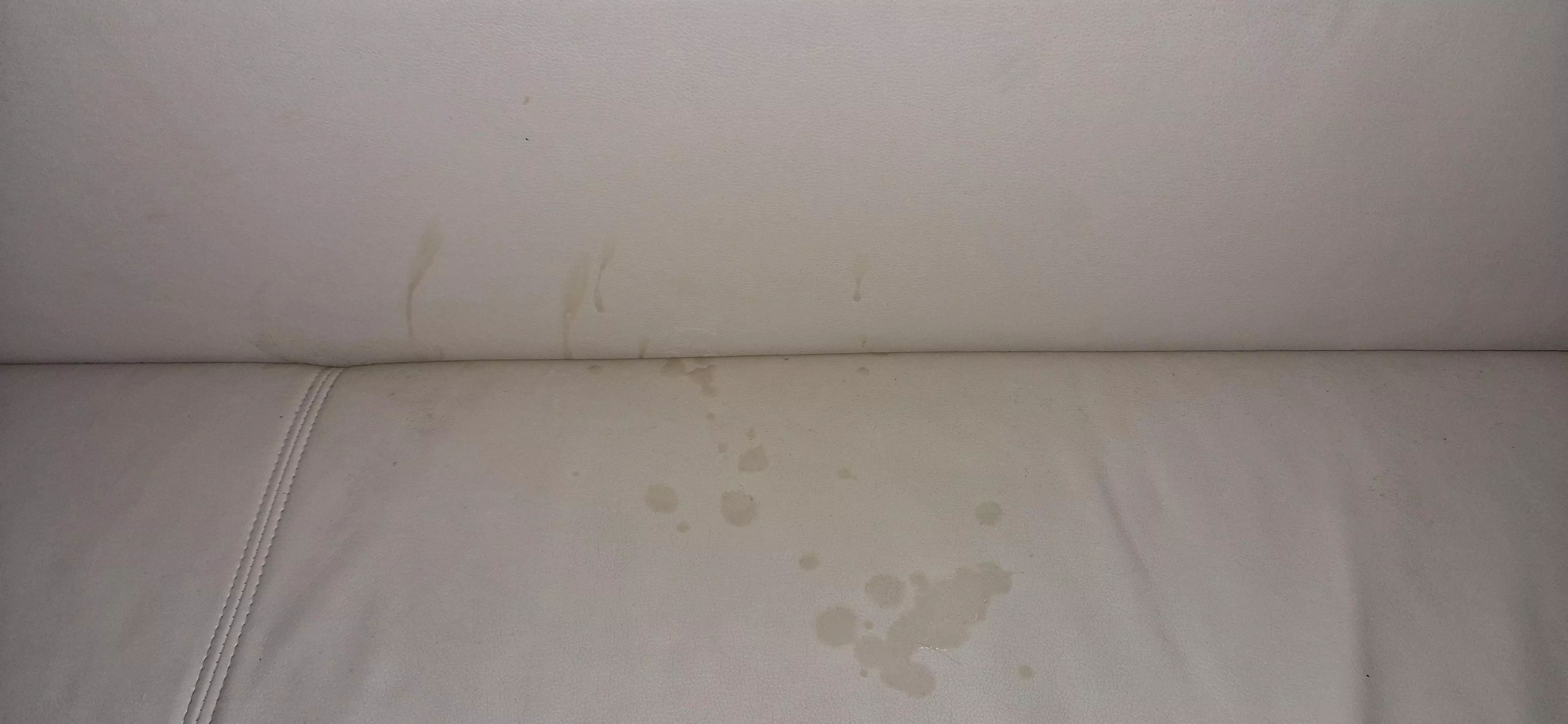 [21] What do you think about my cum? :D