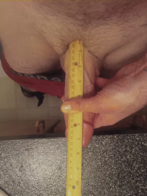 7.5 bp inches is this right?