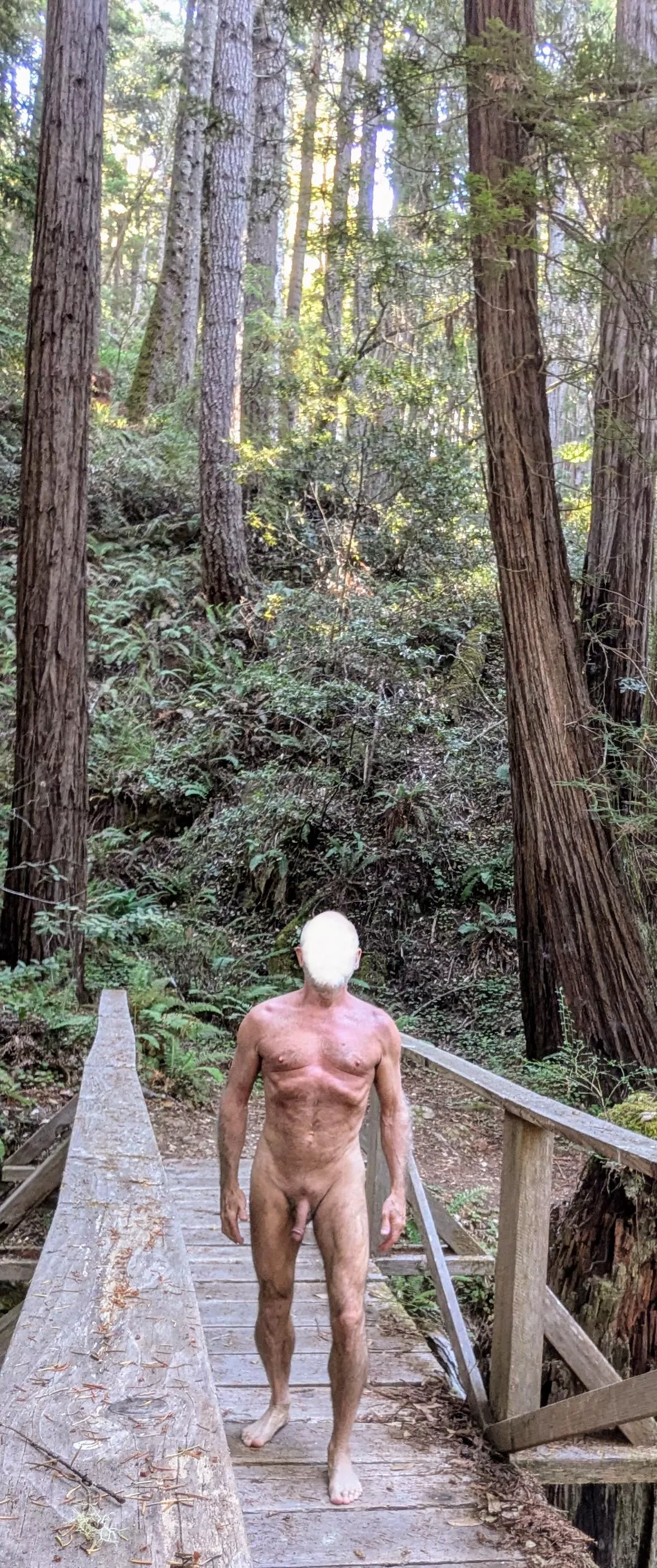 Abridged version of my nude hike in the redwoods.
