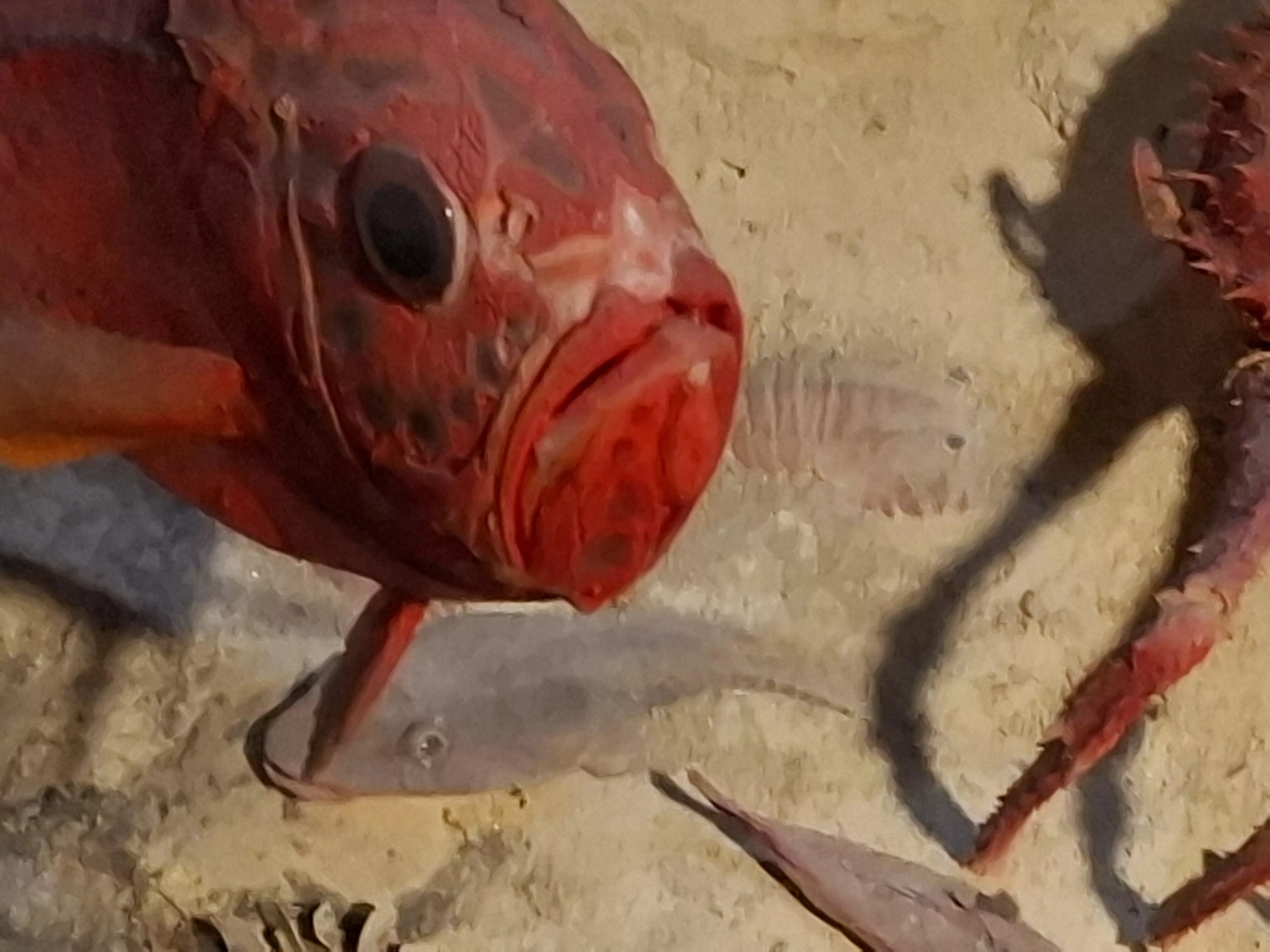 Any mobile games u guys would recommend 