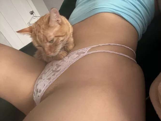 Anyone want to cuddle while we watch a scary movie? 