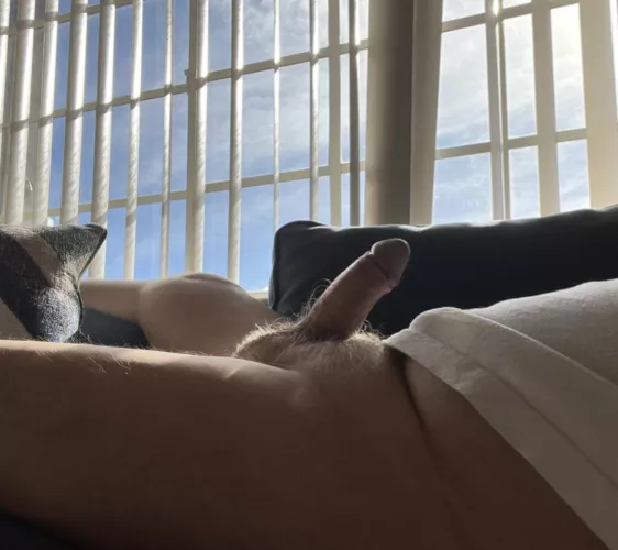 Awakening to a beautiful morning