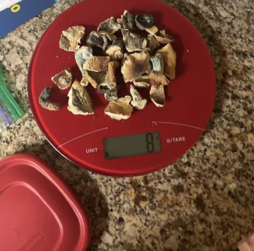 can someone identify these?