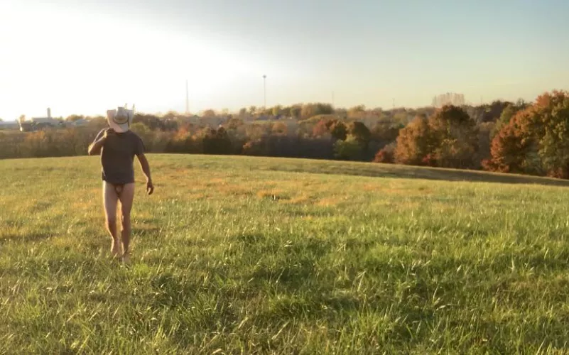 Checking field and fence. 