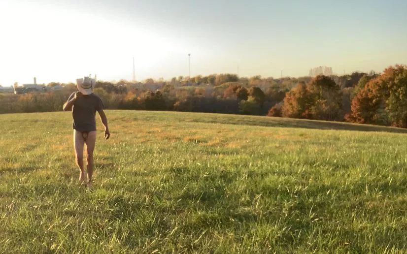 Checking field and fence. 