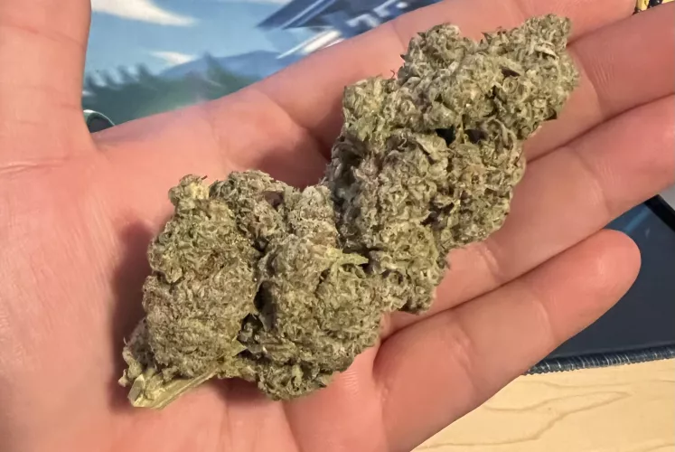 CHG Sour Diesel x Green Crack 8.9g Chonker