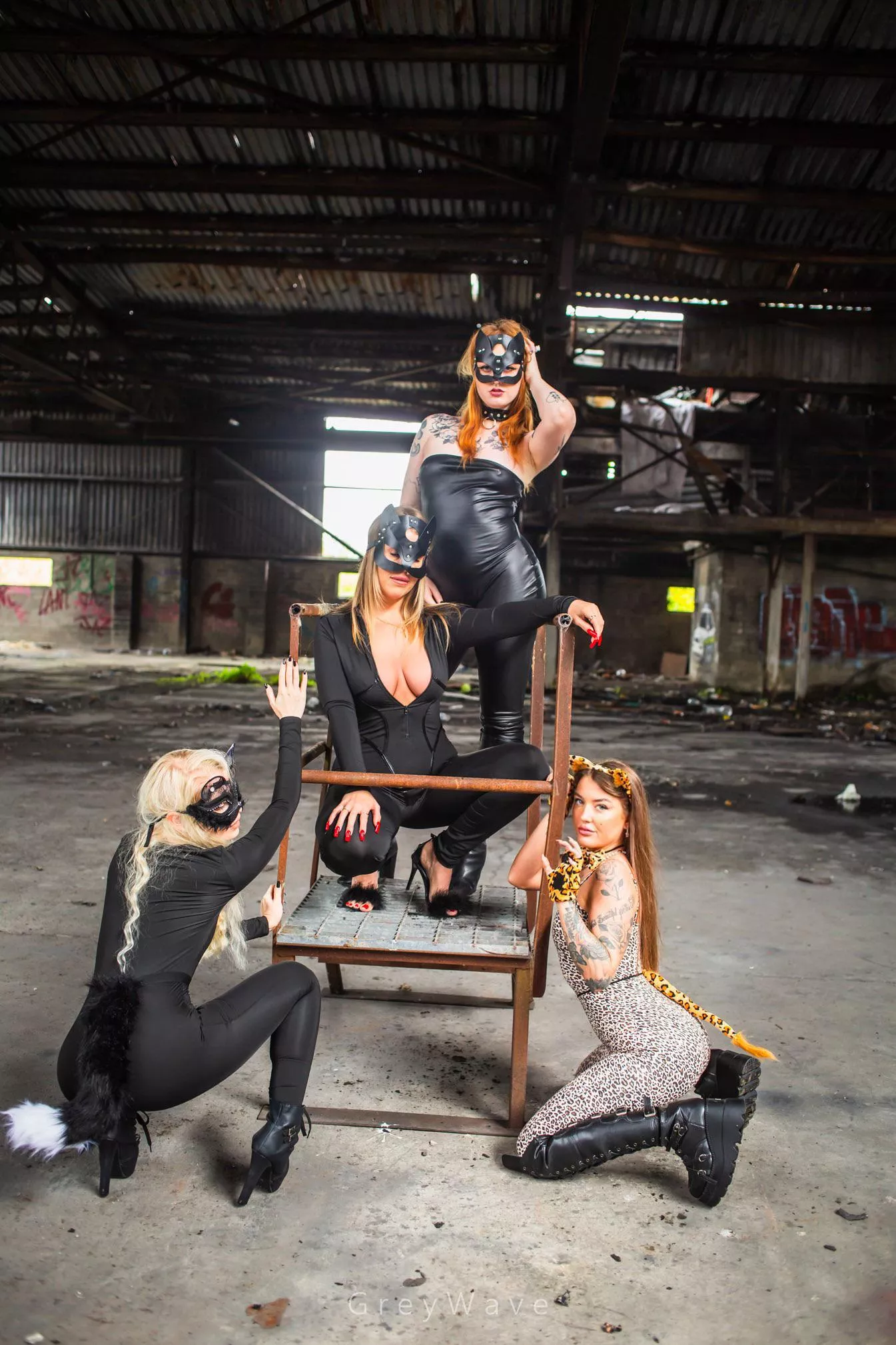 Could you handle 4 felines ?! 😻 watch the video of us being very naughty naked kitties tonight , links below 👇🏻 