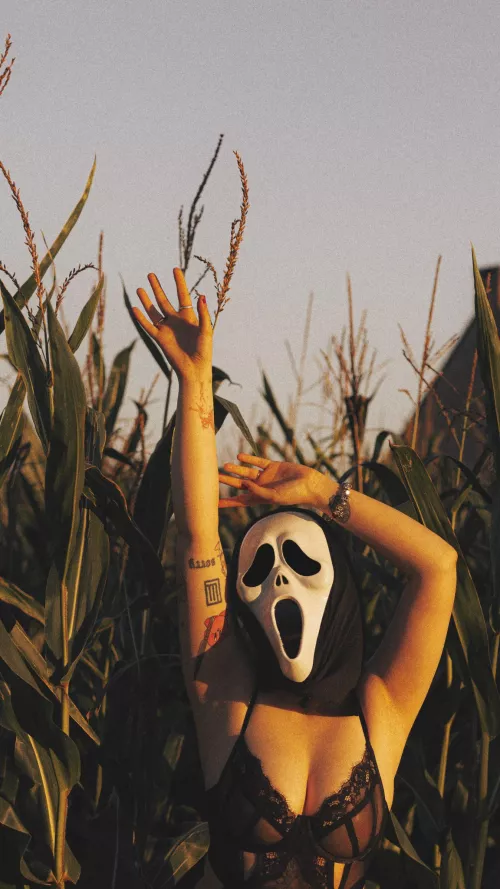 Do you like scary movies? 