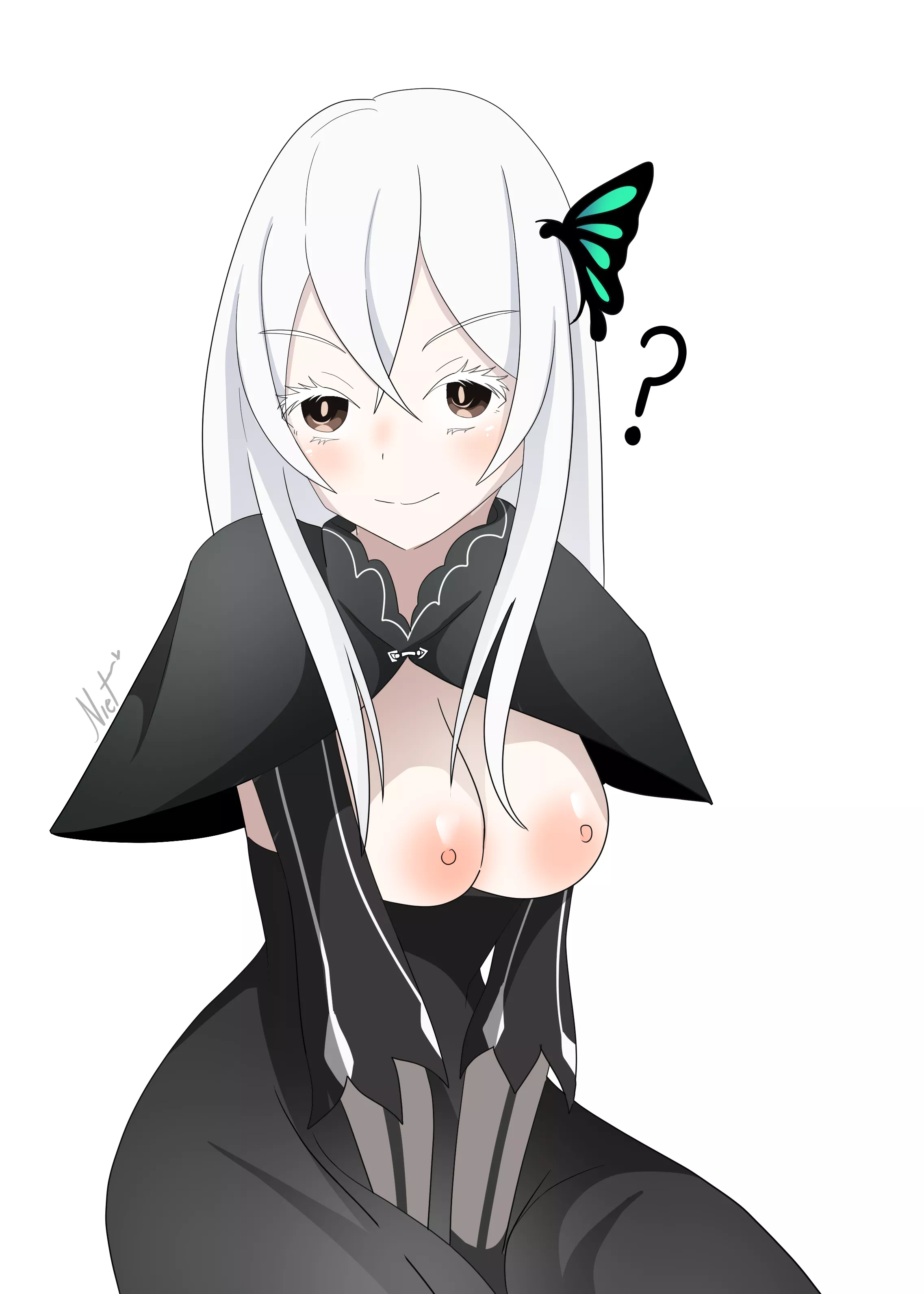 Echidna (By Niet Zsu)