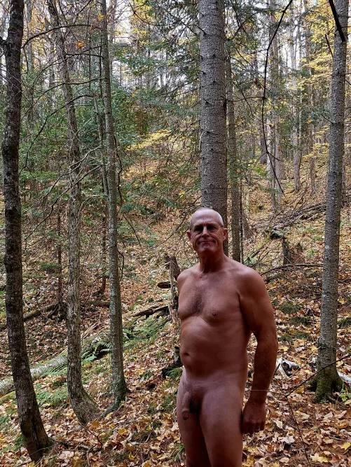 Fall is a great time to be in the woods 