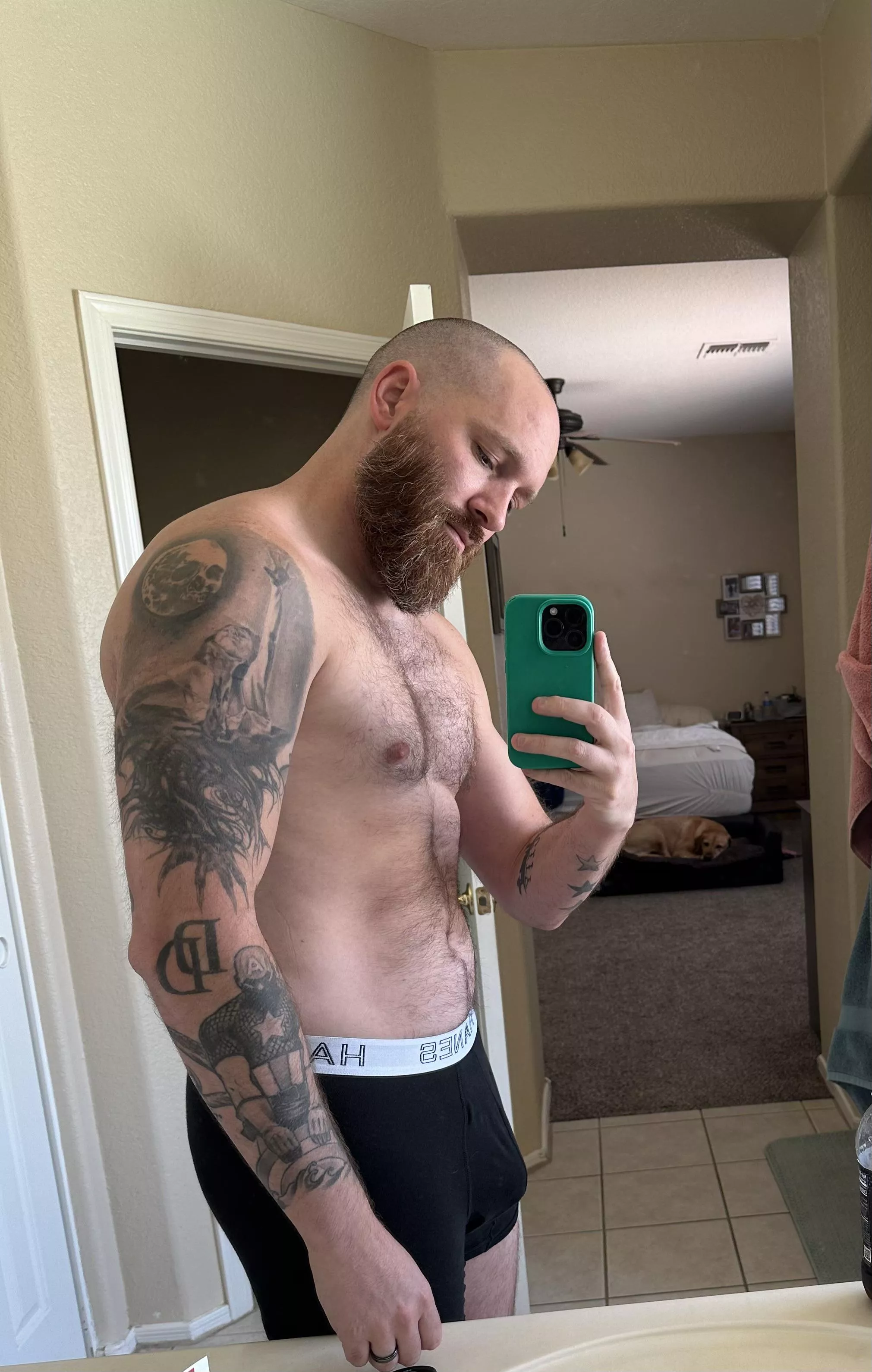 Freshly groomed for the weekend