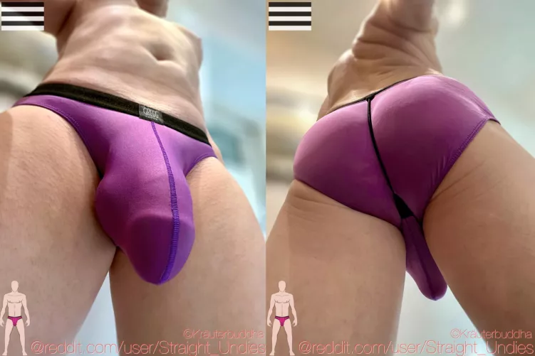 Gregg Homme Perfekbum