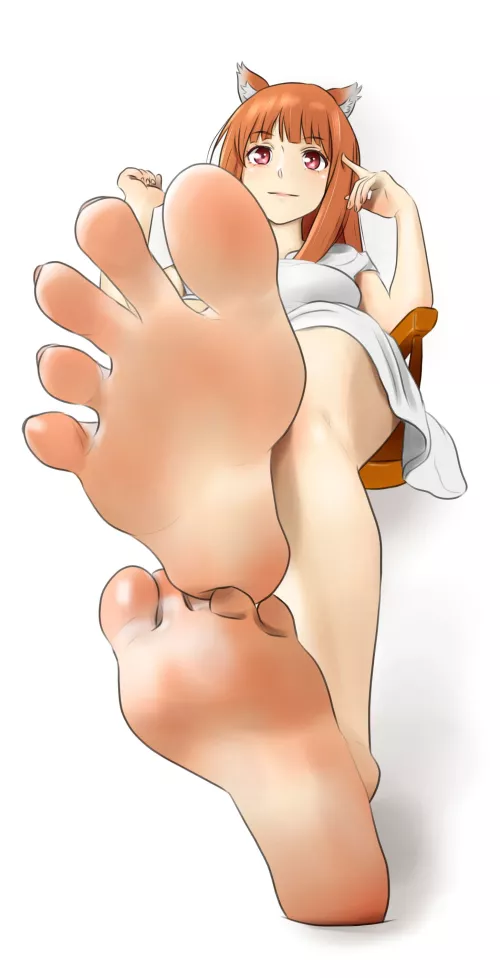 Holo from spice and wolf