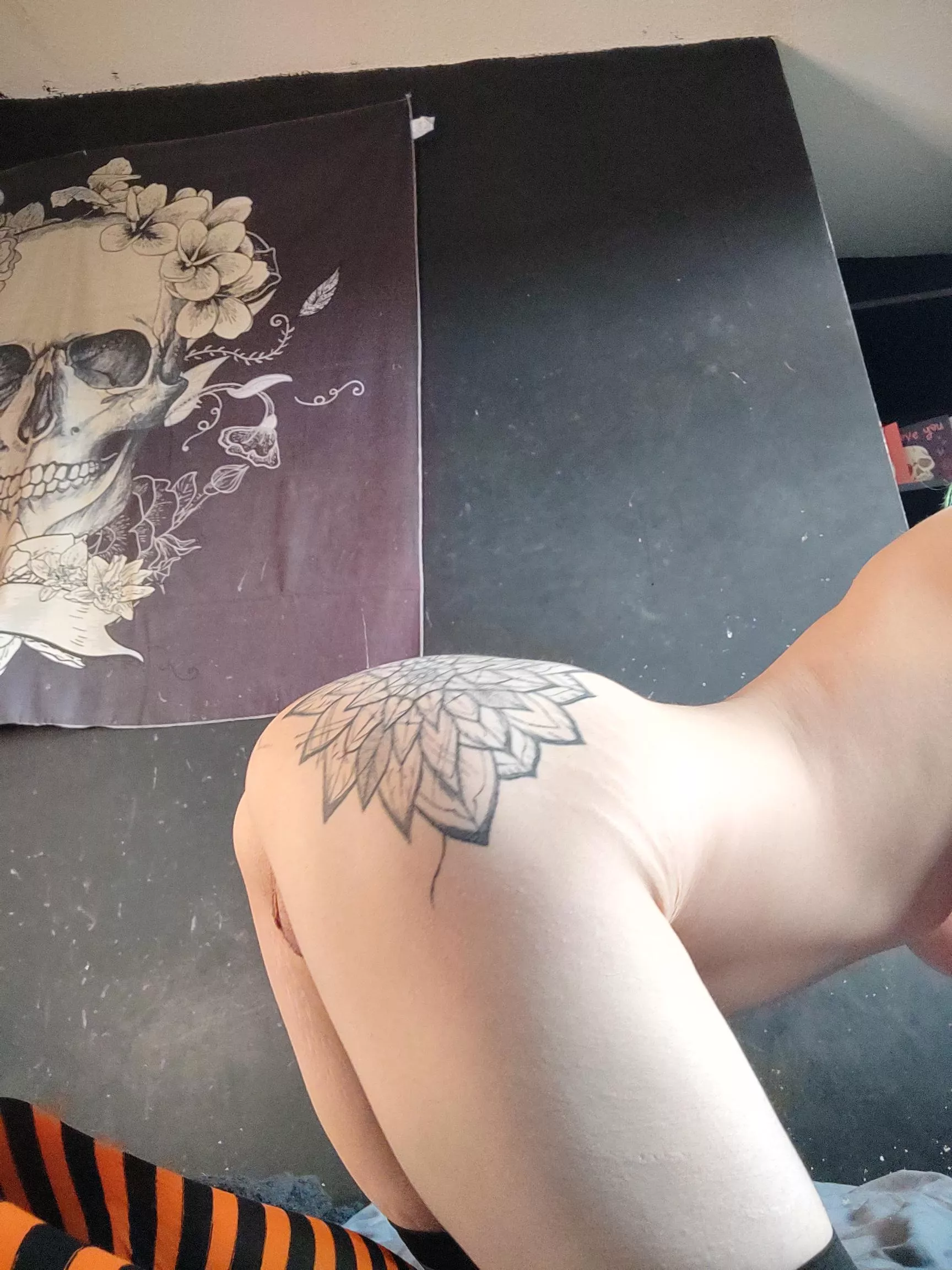 i love the shape of my ass