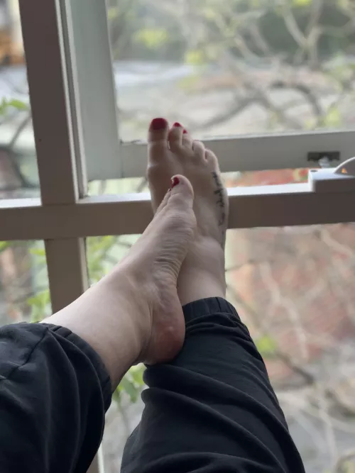 I’m relaxing while you’re jealous of a window sill. 