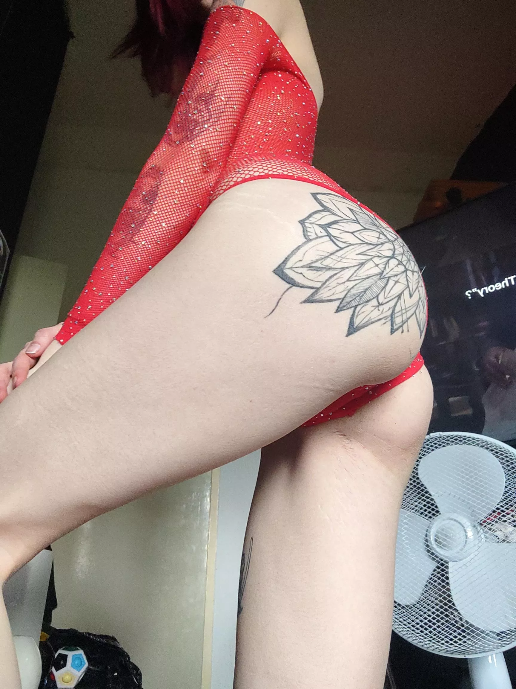 it definitely needs a spanking