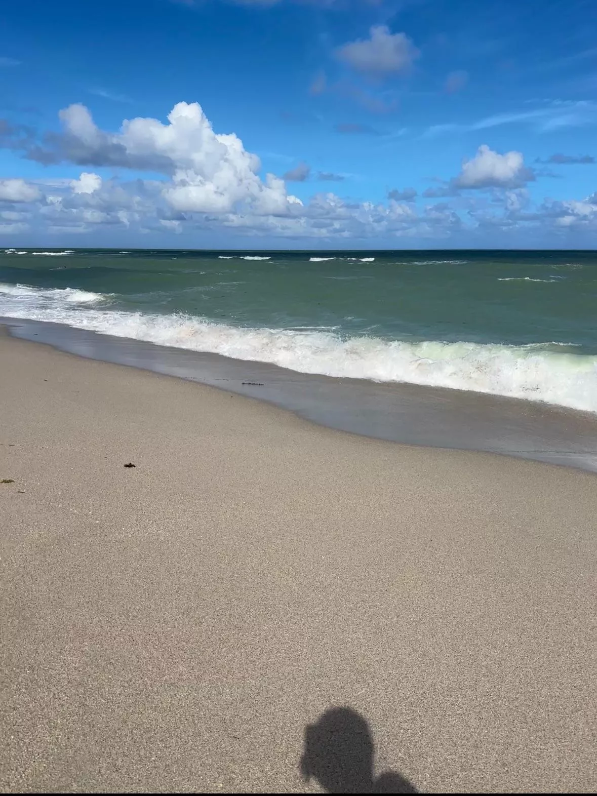 It’s a perfect day🥰