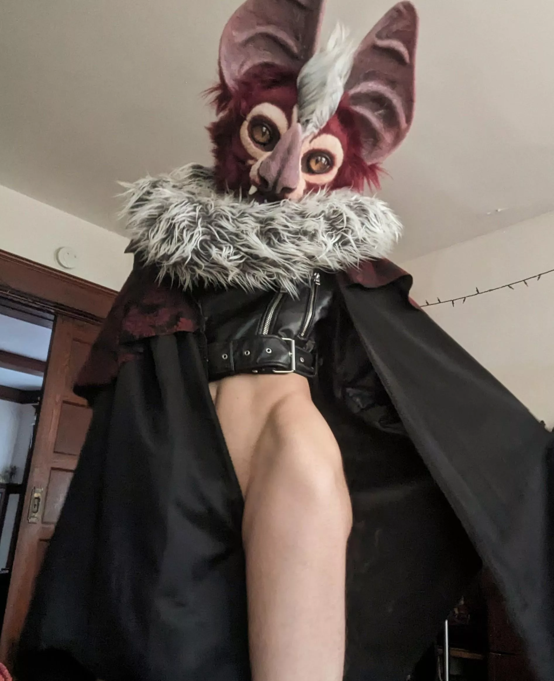 It's getting to be that time of year, would you welcome me inside? 🧛‍♂️