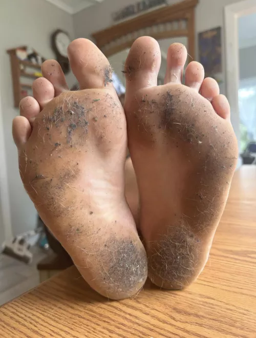 Large in charge filth