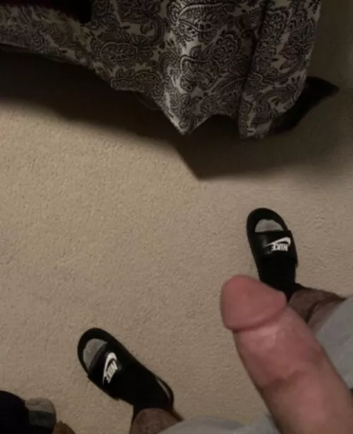 Looking for head tonight 