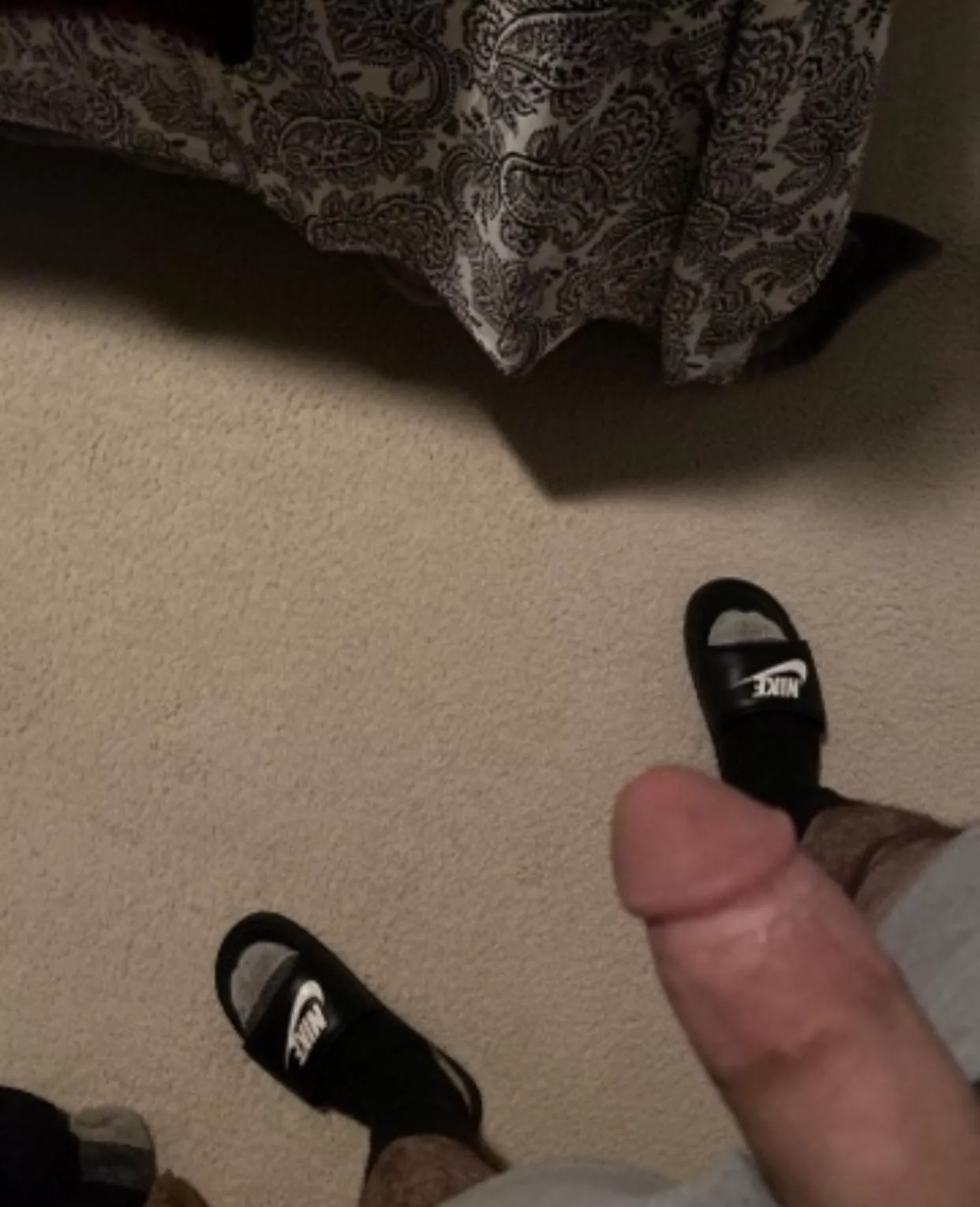 Looking for head tonight 