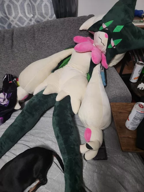 New plush