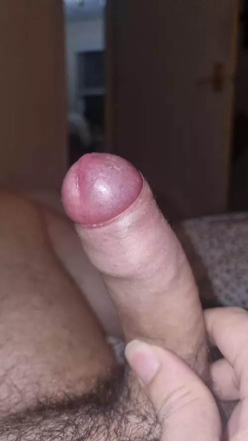 Options on my phimosis cock? 
