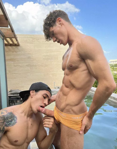 Ripfag'n Hollipoolbois 