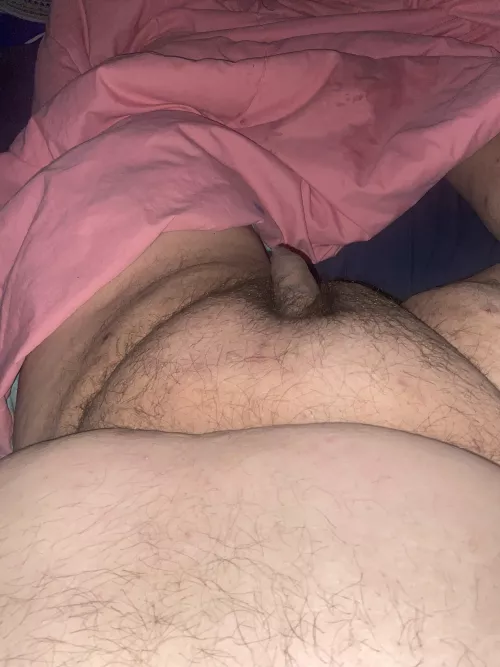 Sometimes I wish I was bigger but Alwell! Atleast it grows a bit! 