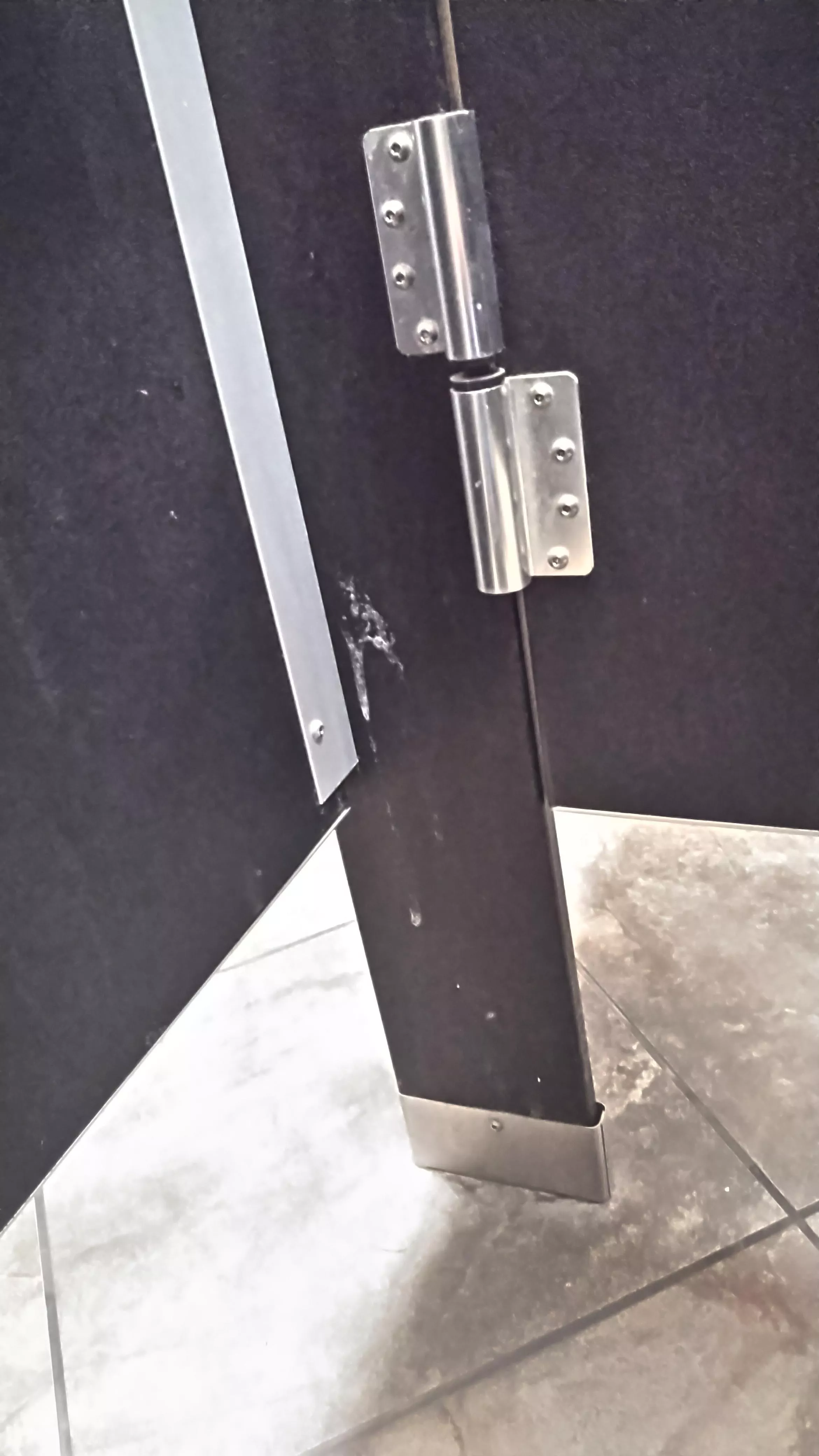 Spotted Home Depot (25)