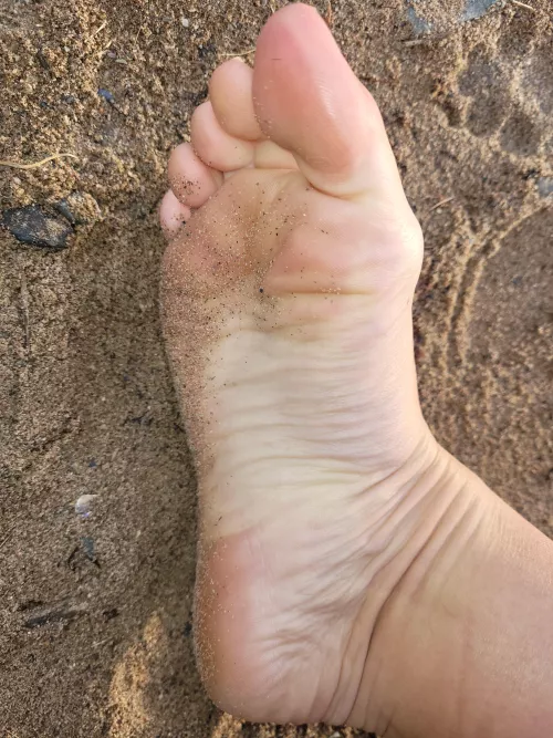 Still not too cold for me and my sandy feet on the beach. Want to join?