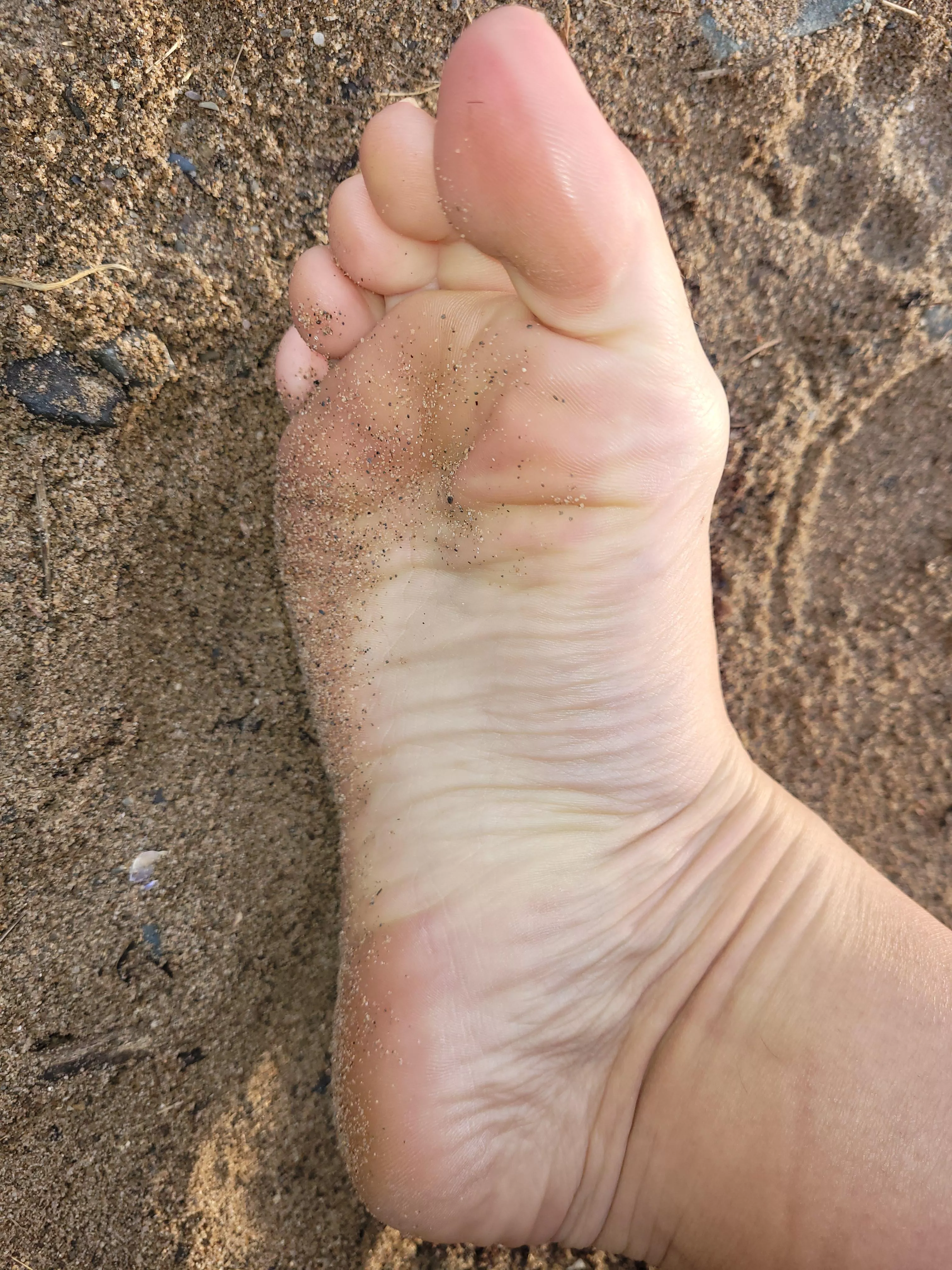 Still not too cold for me and my sandy feet on the beach. Want to join?
