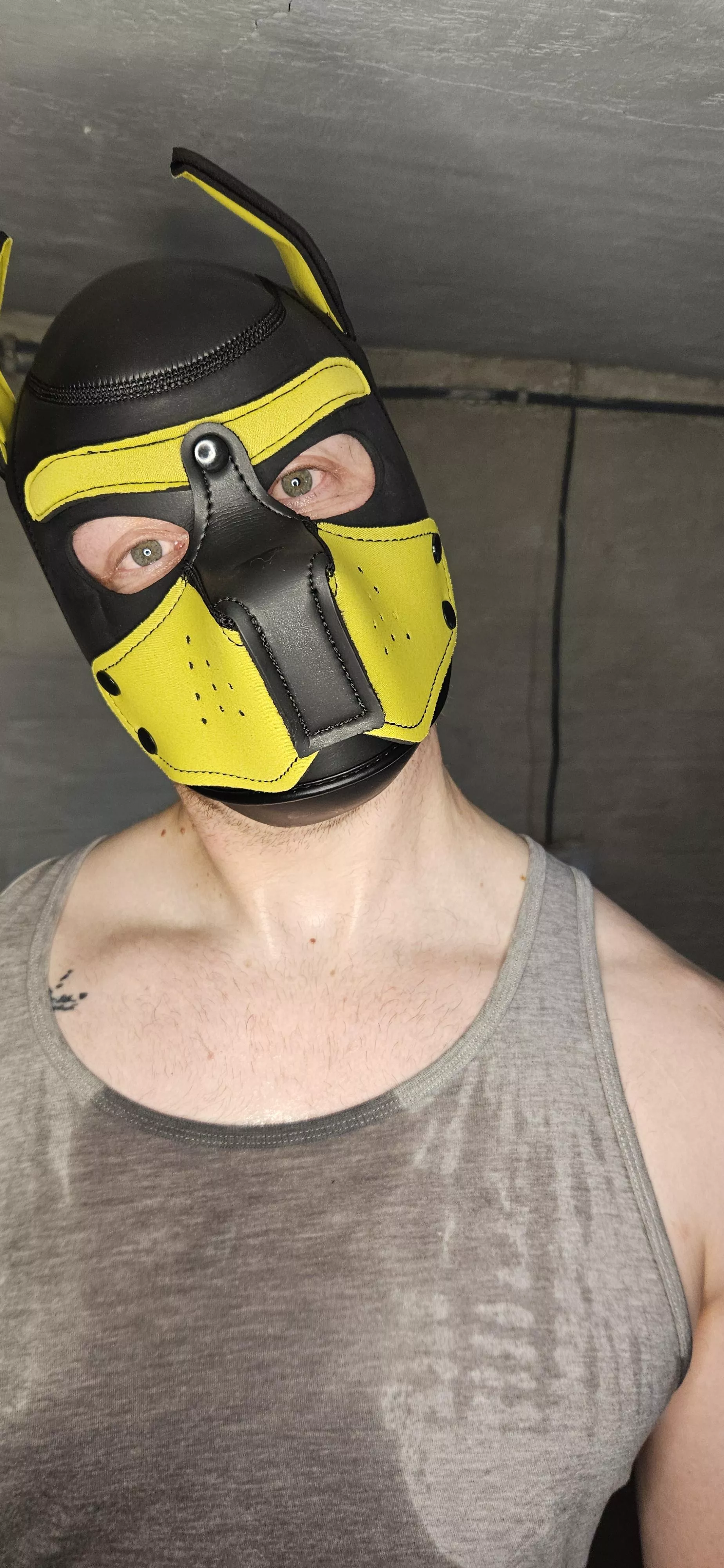 Sweaty pup