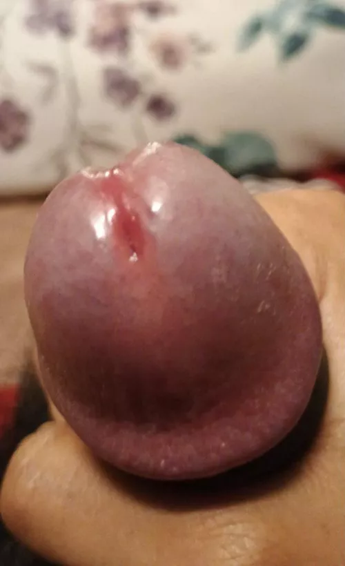 Take out your tongue baby, for this juicy cock 🤤