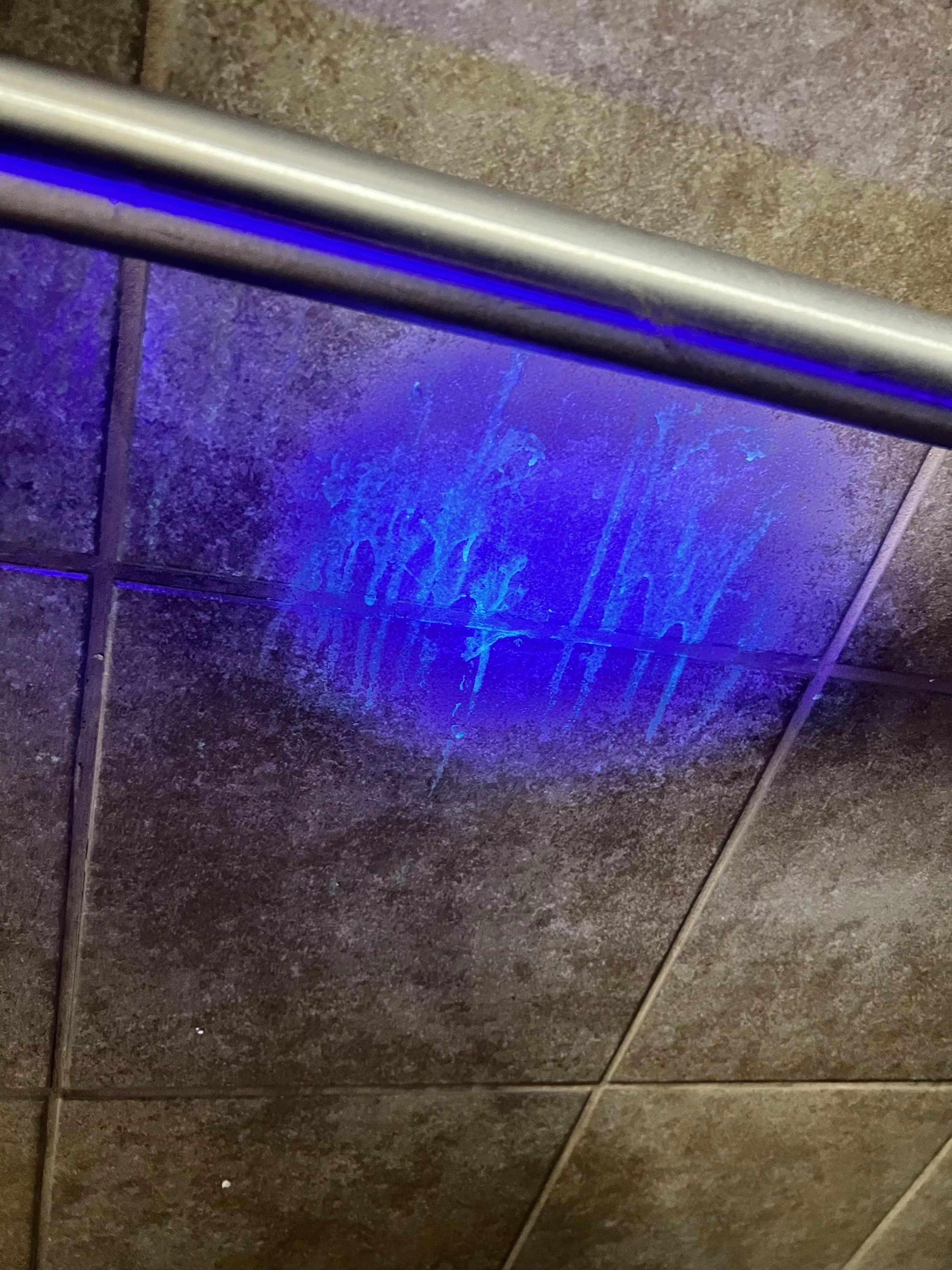 Taking a UV light for the welcome center was such a good idea (30) 