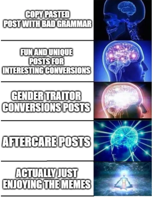 The different stages of posts on this sub