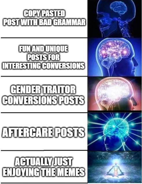 The different stages of posts on this sub