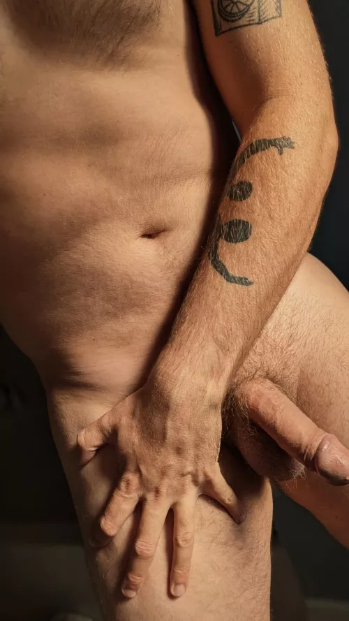 The Fall Sun Warms Me (38) Up