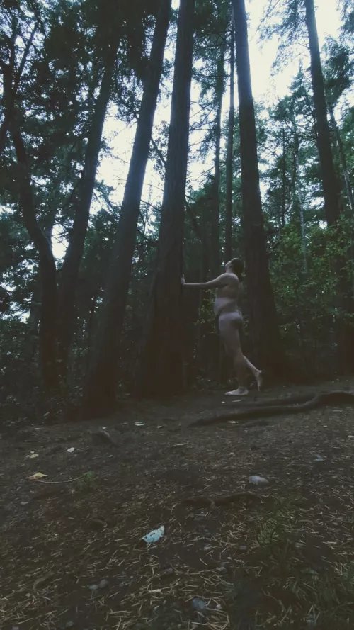 The trails are still quiet at dawn