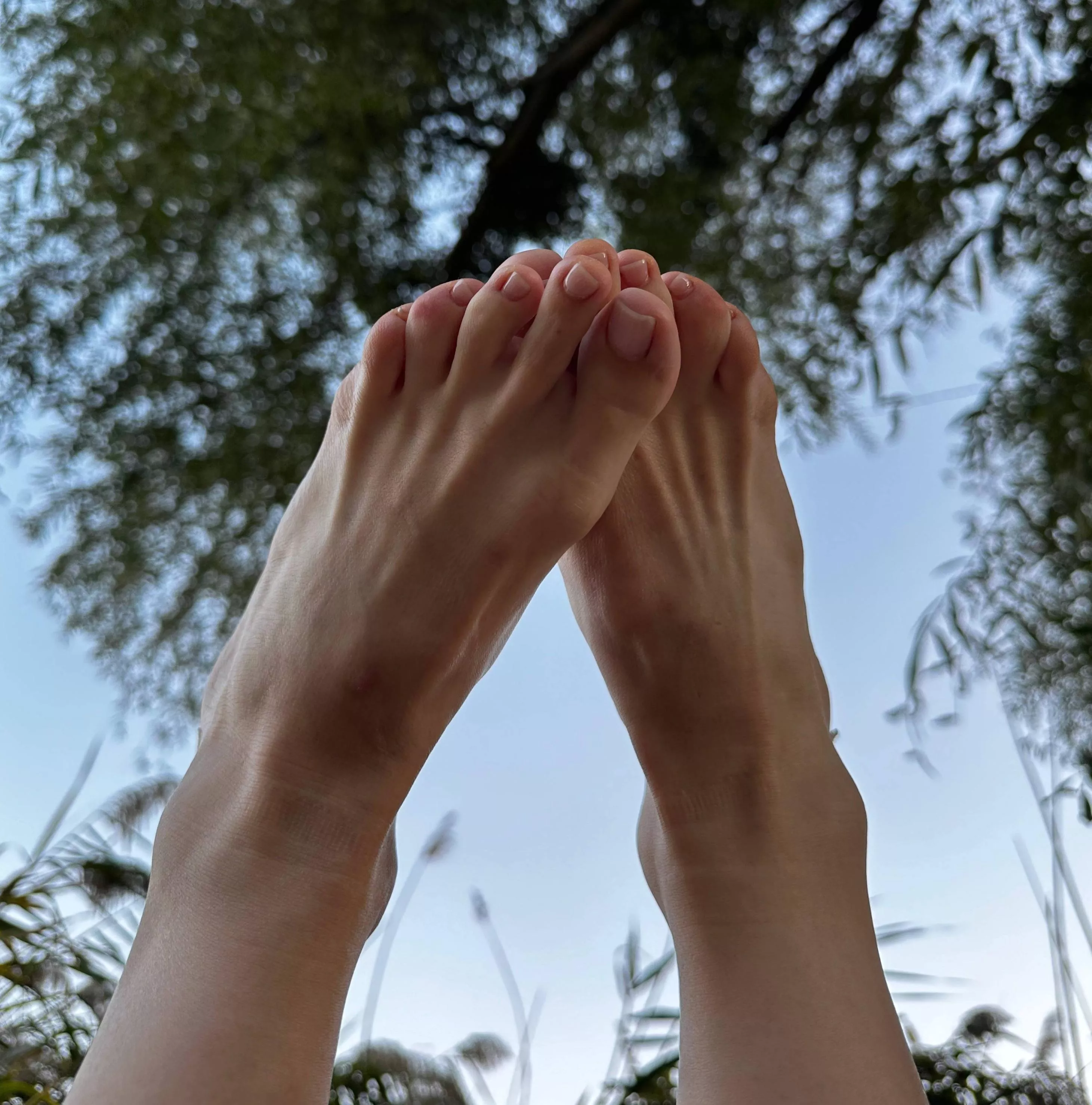 the tree cover makes my feet look rested