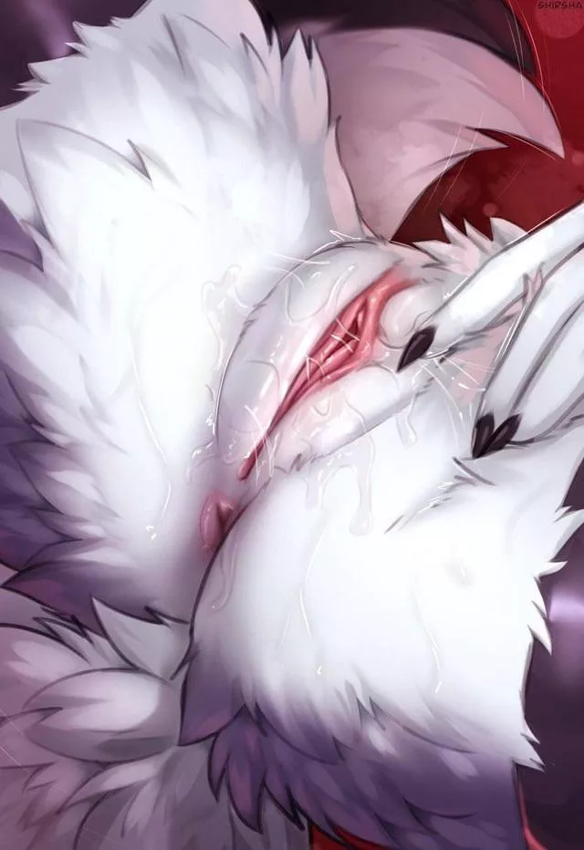 Wanna trade some furry pussy? 