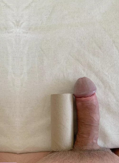 want to compare w average cocks (max 7.1 in = 18cm) ref=TPRoll take this pic