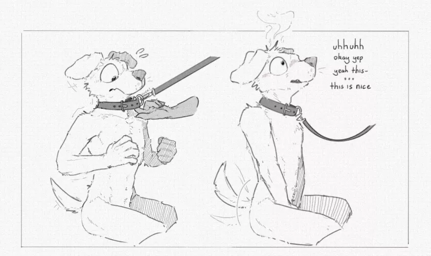 When someone tugs your collar 🥴